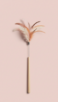 Interactive feather wand toy with retractable handle