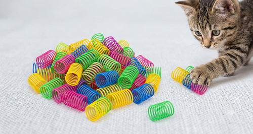 Colorful Cat Spring Toys | Pack of 4