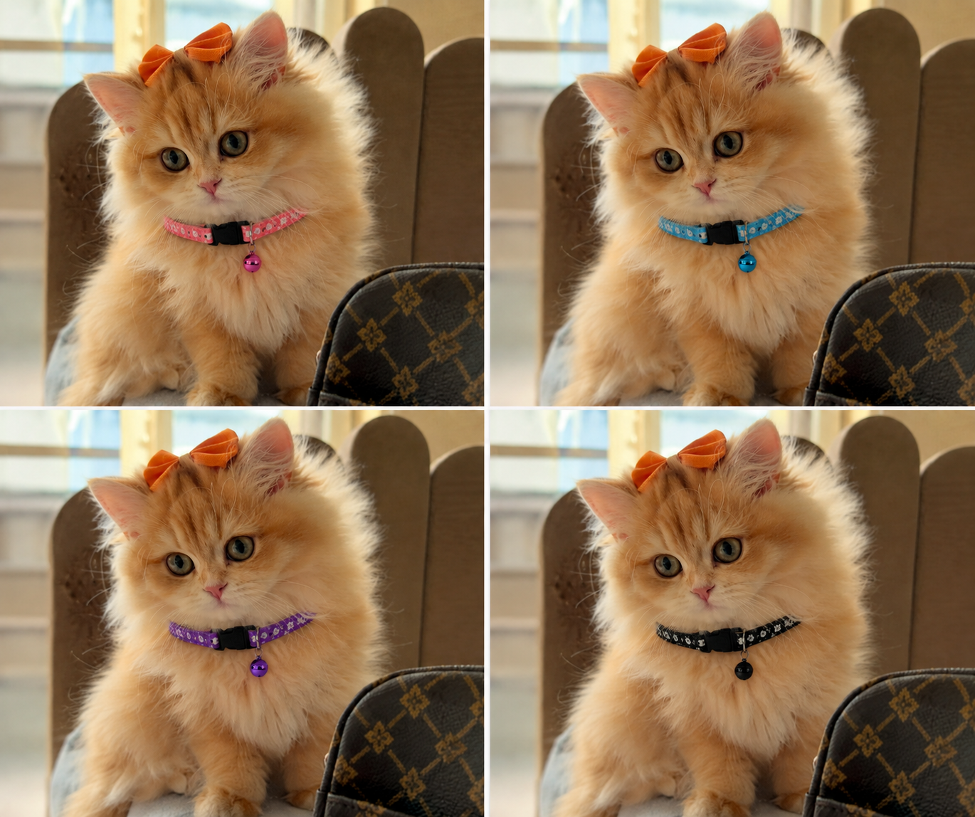 Premium Adjustable Cat Collar