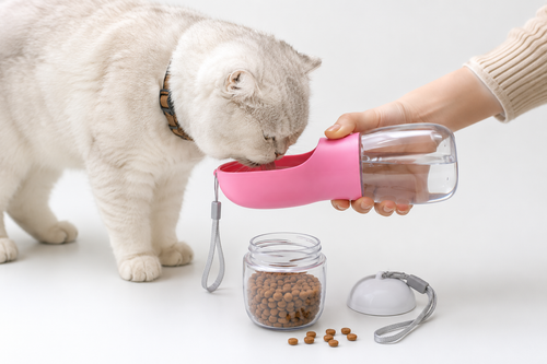 2-in-1 Portable Pet Water & Food Bottle | KittyNest
