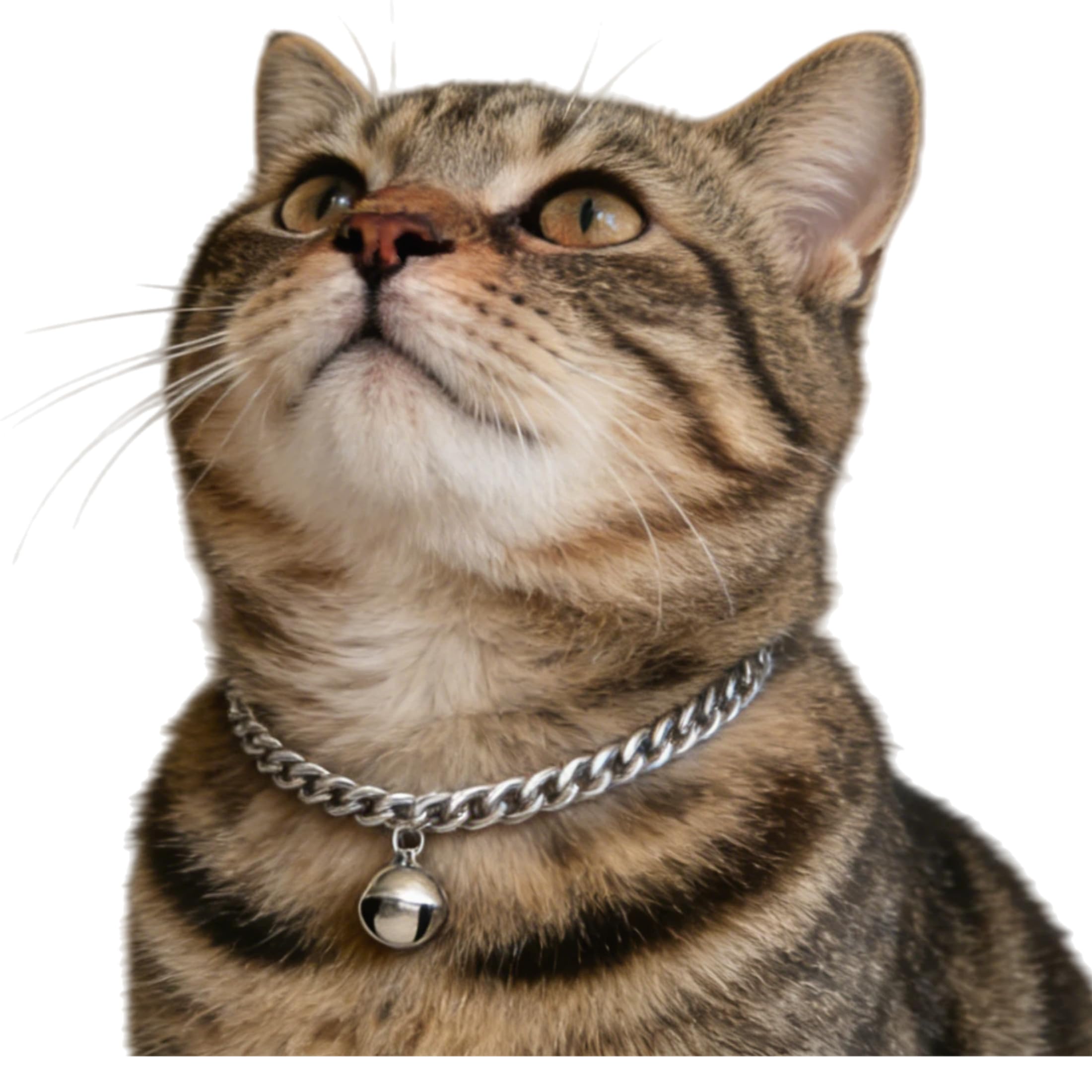 Silver Cat Chain Collar with Bell | Adjustable Titanium Steel Pet Necklace