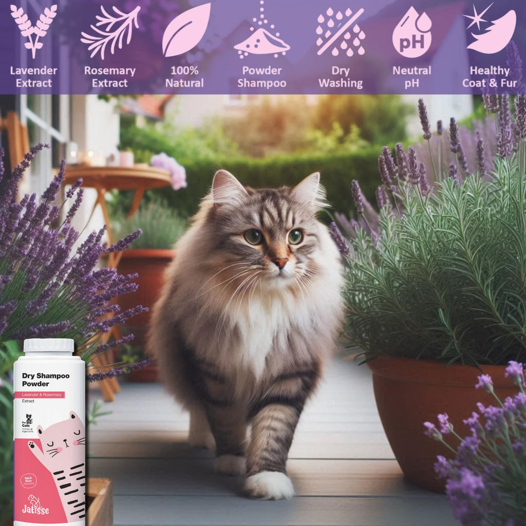 Waterless Cat Dry Shampoo Powder | Lavender & Rosemary Grooming Powder