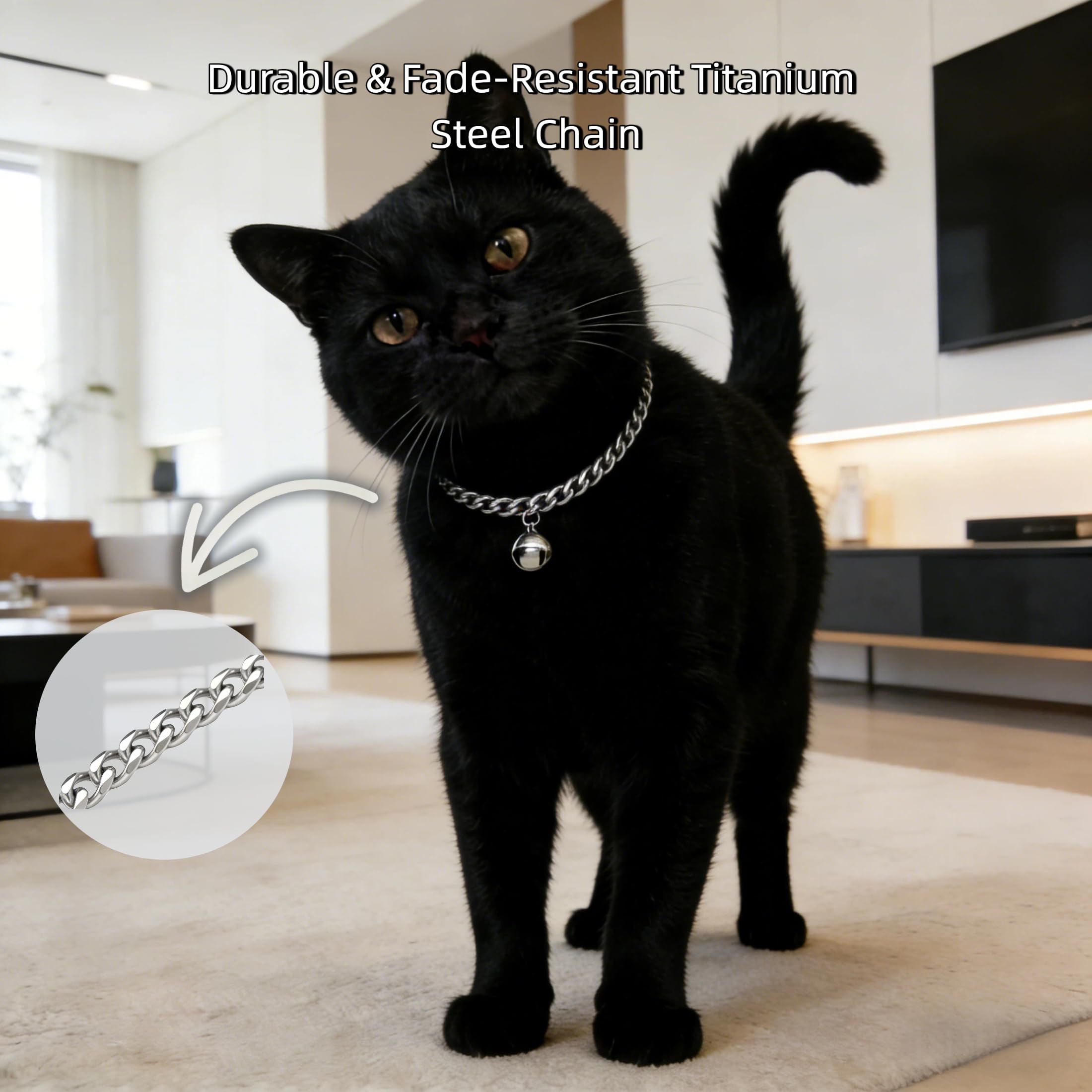 Silver Cat Chain Collar with Bell | Adjustable Titanium Steel Pet Necklace
