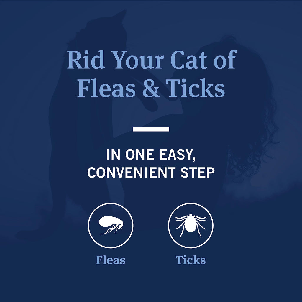 PetArmor Flea & Tick Shampoo for Cats | Coconut Berry Cat Shampoo & Conditioner | 12oz (355ml)