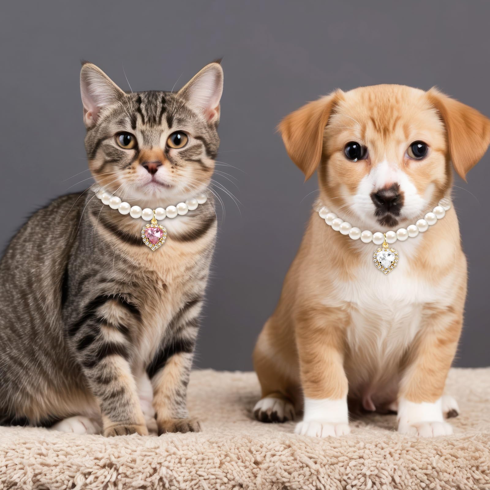 Pearl Cat Collar with Heart Pendant | Adjustable Kitten & Small Pet Necklace