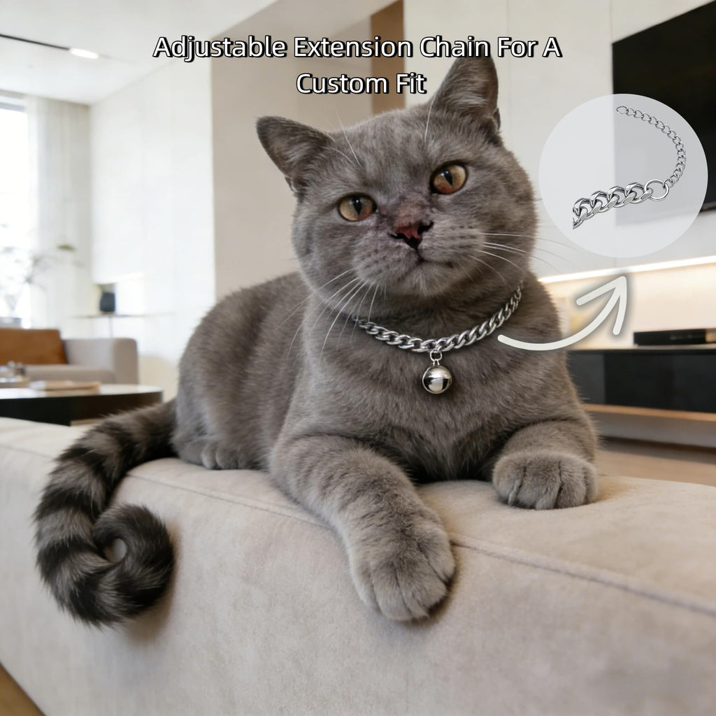 Silver Cat Chain Collar with Bell | Adjustable Titanium Steel Pet Necklace