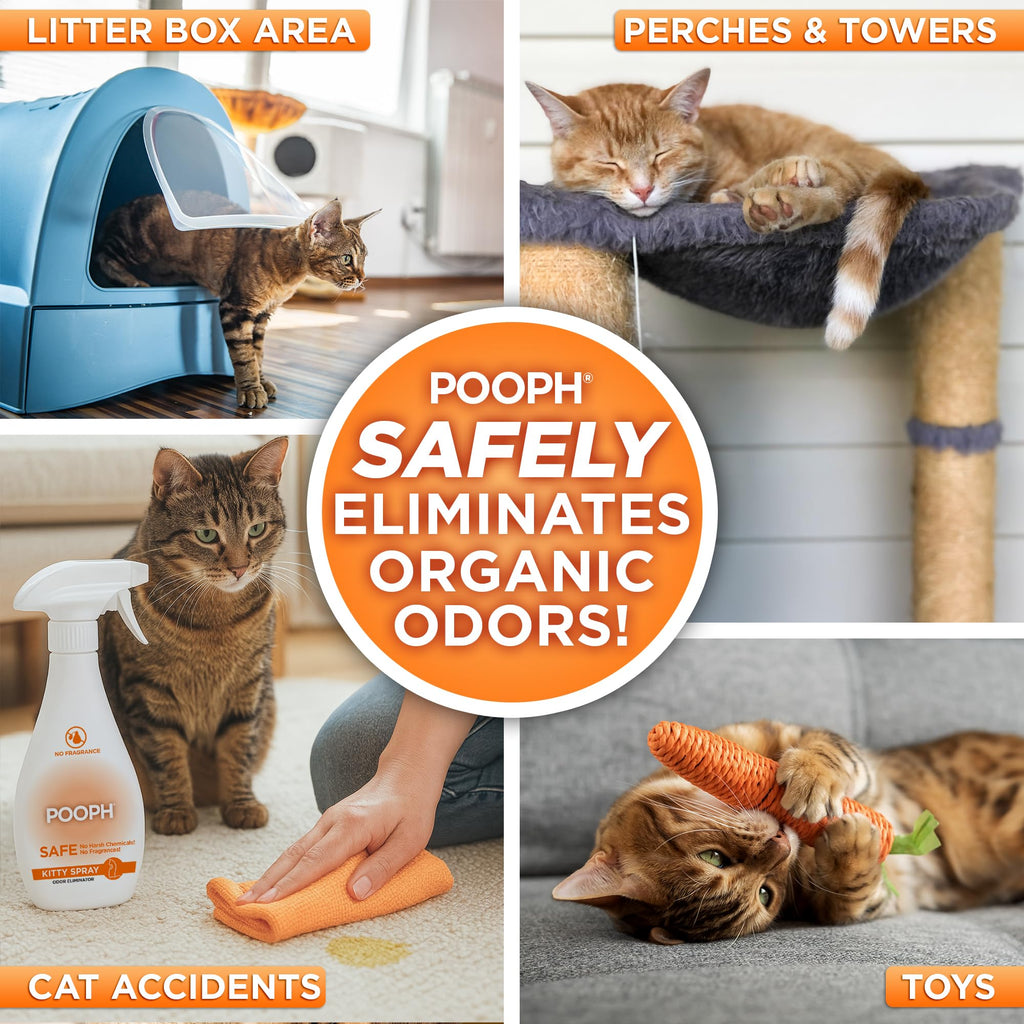 POOPH Kitty Spray Odor Eliminator for Cats | Safe Pet Stain & Urine Remover Spray (16 oz)