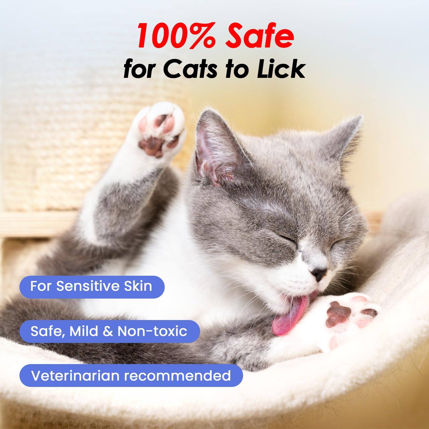 PUPMATE Waterless Cat Shampoo Foam with Grooming Brush | No Rinse Dry Shampoo for Cats | 200ml