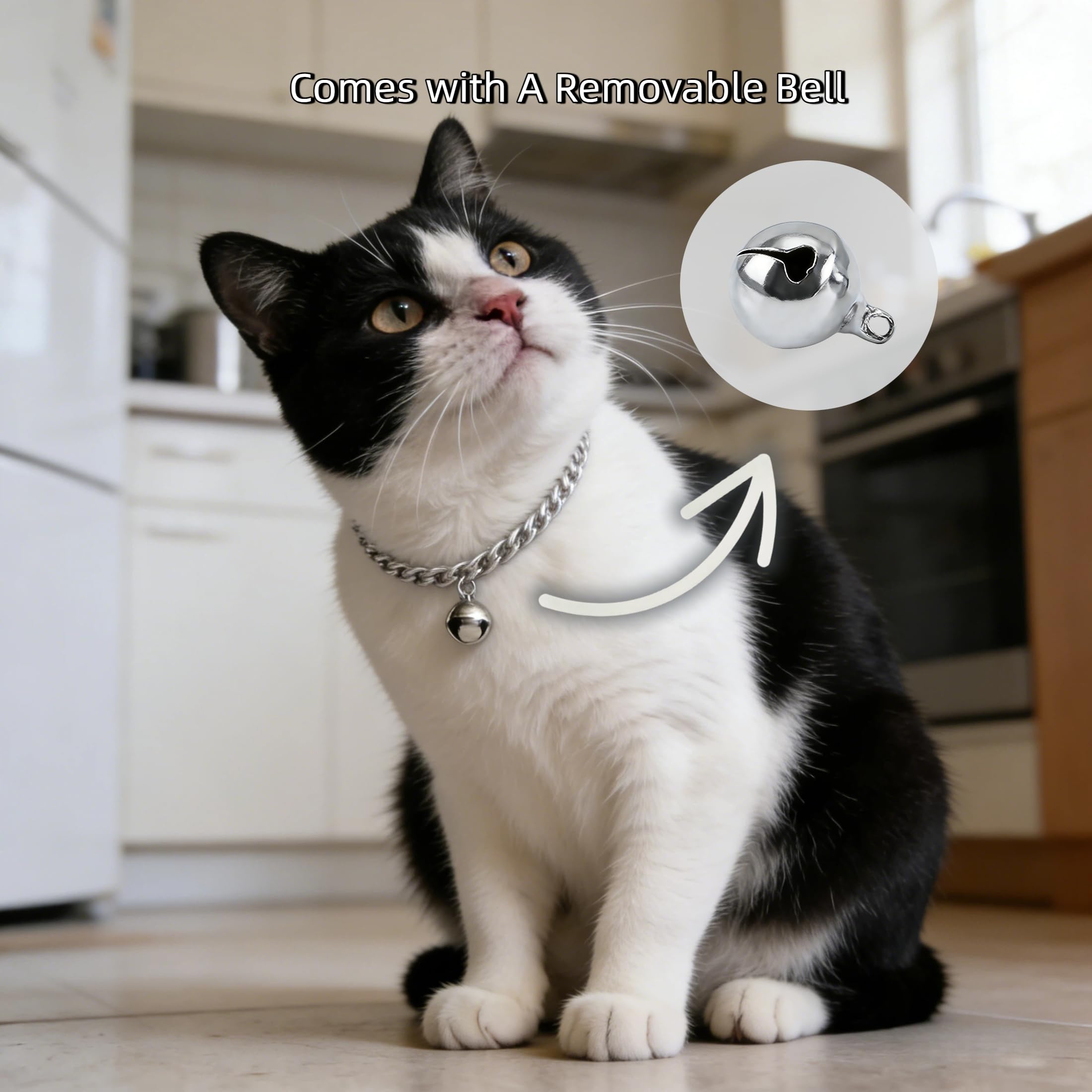 Silver Cat Chain Collar with Bell | Adjustable Titanium Steel Pet Necklace