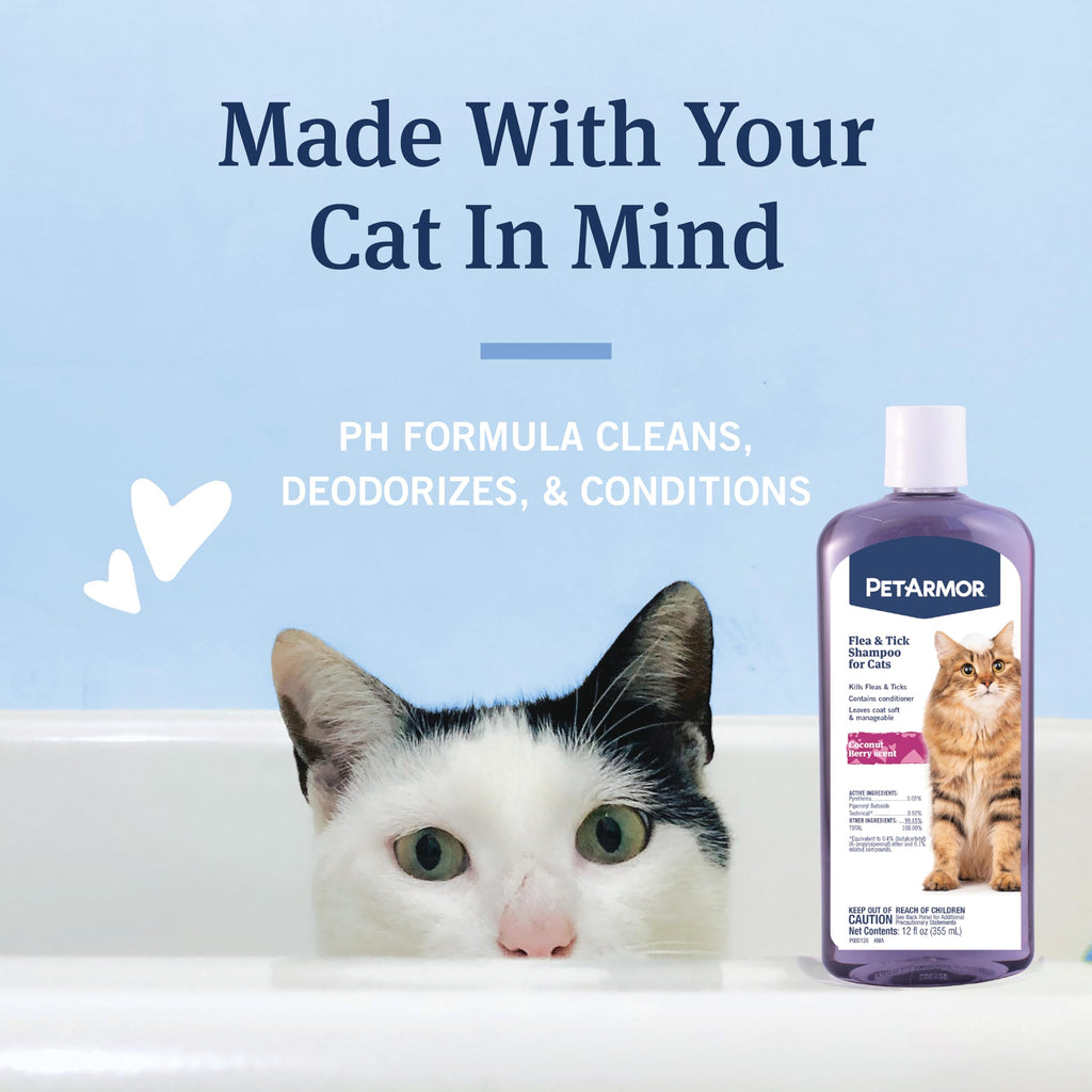 PetArmor Flea & Tick Shampoo for Cats | Coconut Berry Cat Shampoo & Conditioner | 12oz (355ml)