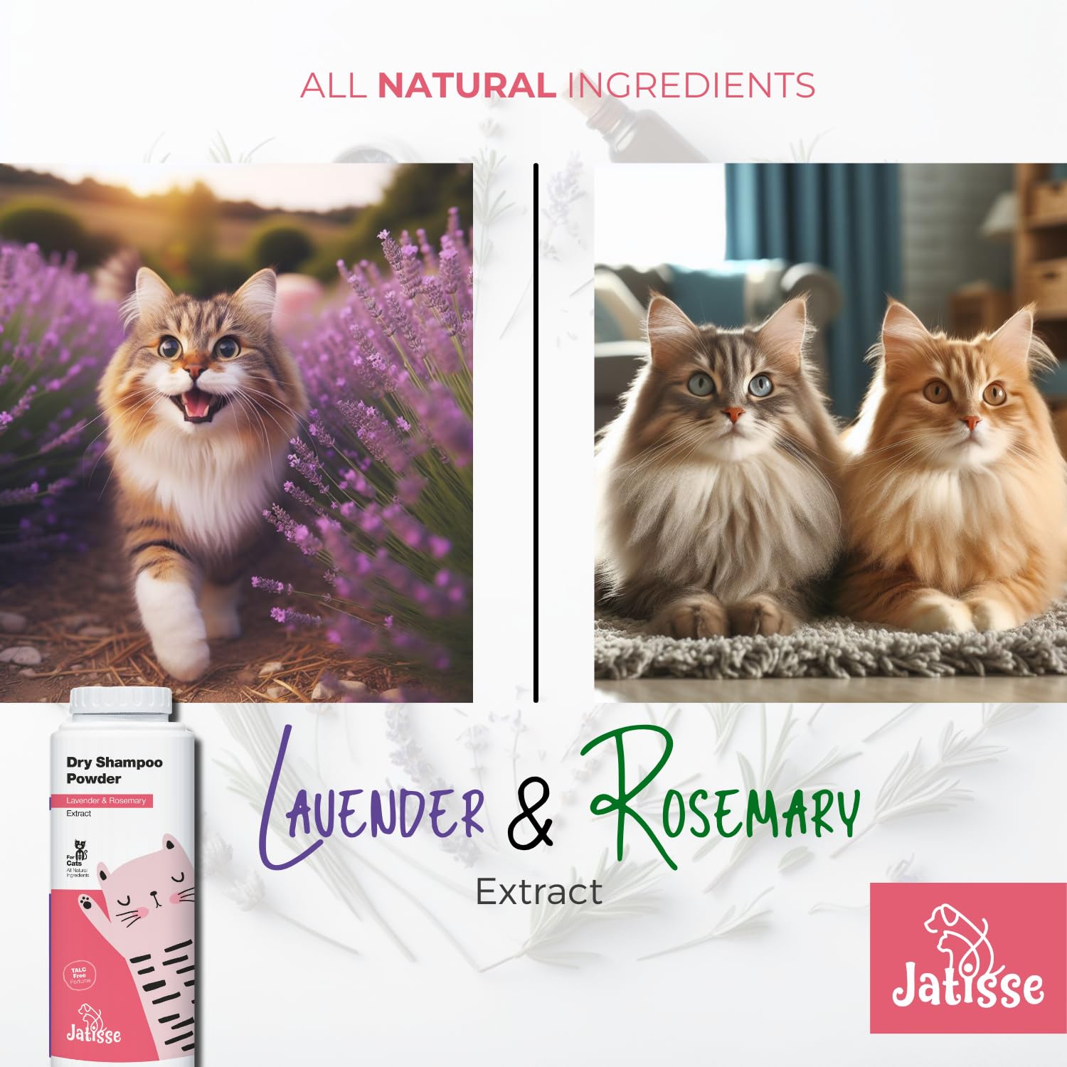 Waterless Cat Dry Shampoo Powder | Lavender & Rosemary Grooming Powder