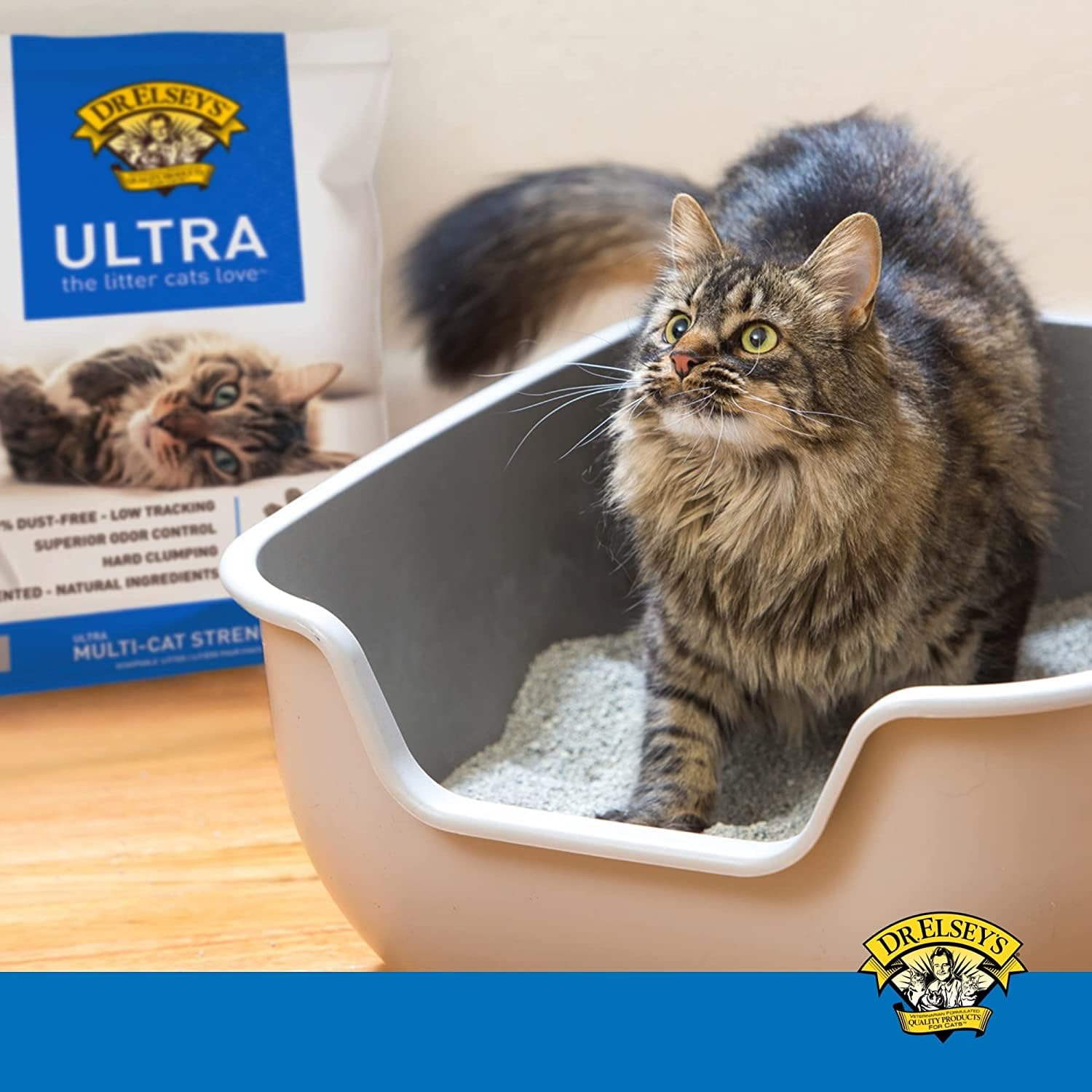 🐱 Ultra Clumping Unscented Clay Cat Litter | Low Dust & Superior Odor Control