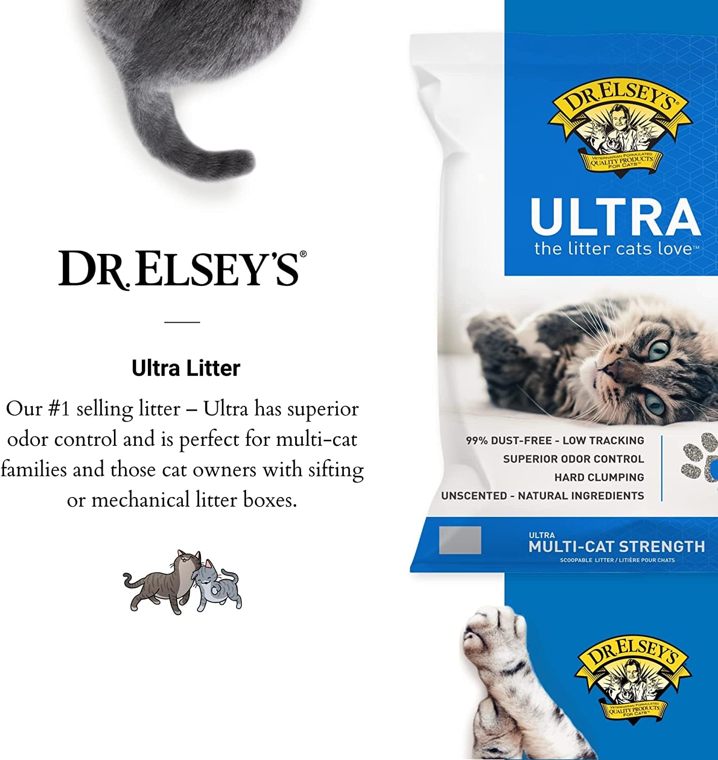 🐱 Ultra Clumping Unscented Clay Cat Litter | Low Dust & Superior Odor Control