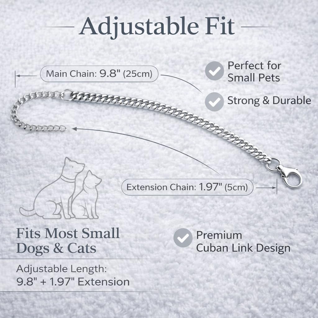 Silver Cat Chain Collar with Bell | Adjustable Titanium Steel Pet Necklace